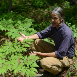 Yale University alumnus Dave Ellum is Warren Wilson College’s professor of ecological forestry and director of the College Forest.